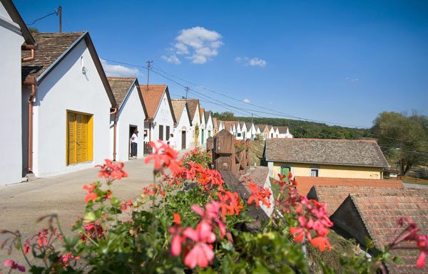 Villány
