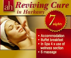 Reviving cure in Harkany – 7 Nights